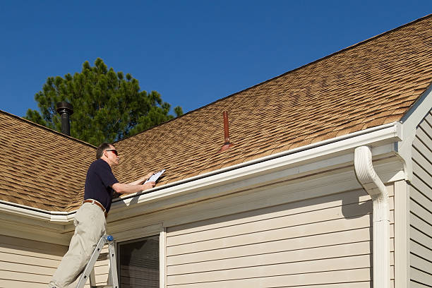 Roof Moss and Algae Removal